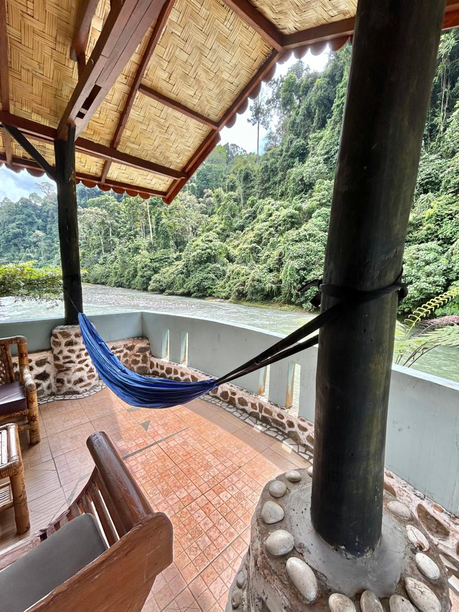 Aussie Guest house Bukit Lawang